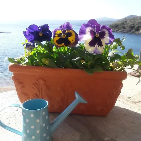 Apartament Cute With Romantic View